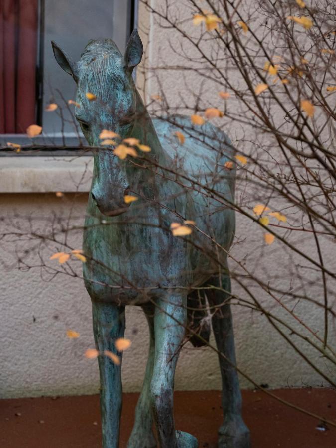 Voyage… Villa Нойер-сюр-Соран Екстериор снимка